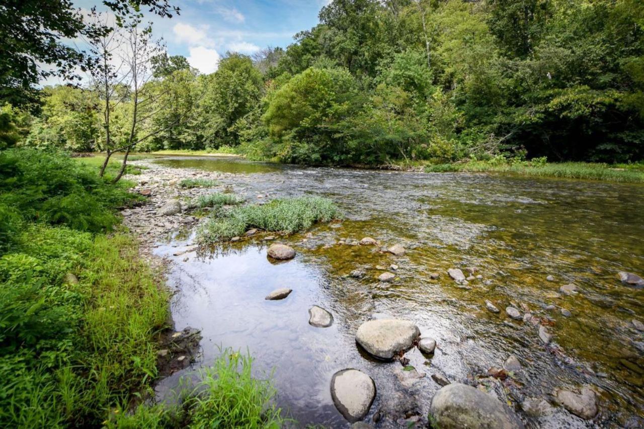 Little River Loft & Riverfront Gem Townsend Dış mekan fotoğraf